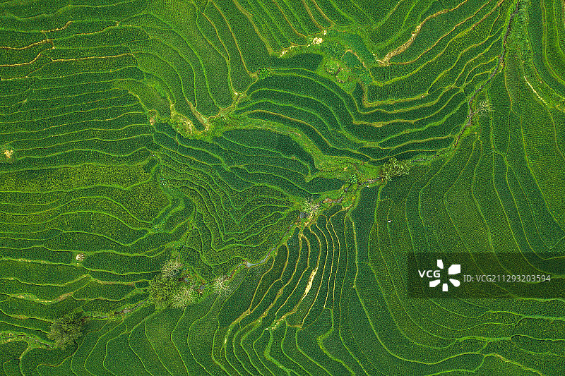 航拍梯田纹理与线条图片素材