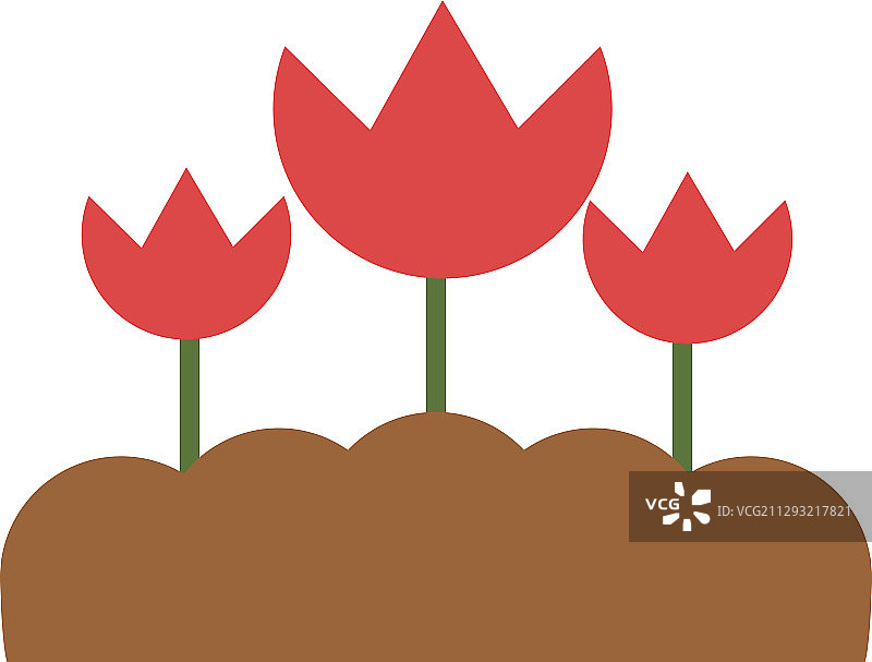 白色背景花卉植物图片素材