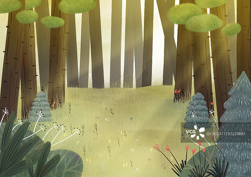 洒满阳光的树林图片素材