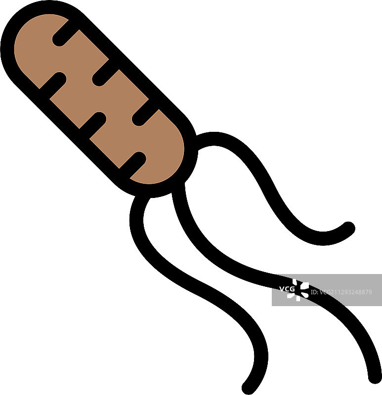 幽门螺杆菌填充样式图标图片素材