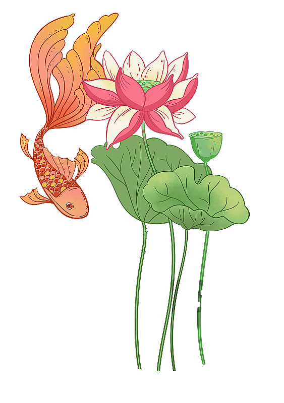 锦鲤荷叶图片素材