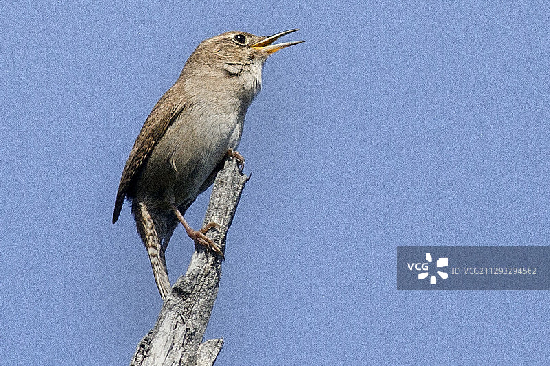 房屋纹理图片素材