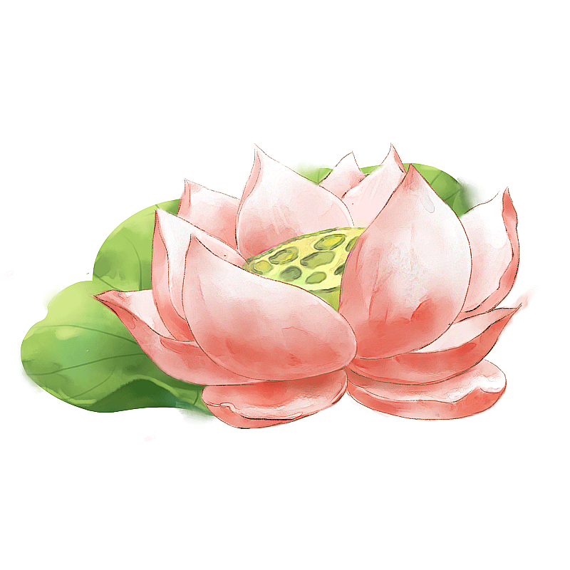 夏天元素图片素材