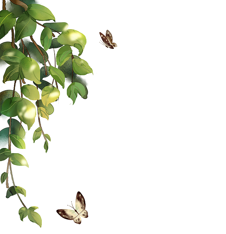 夏天元素图片素材