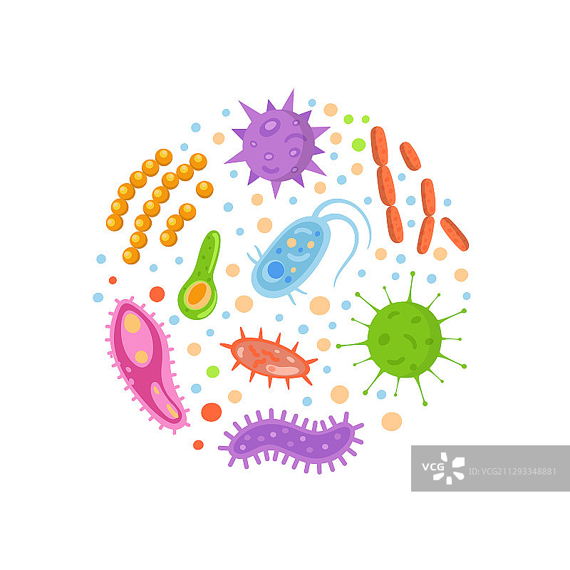 圆形微生物中的细菌和病毒图片素材