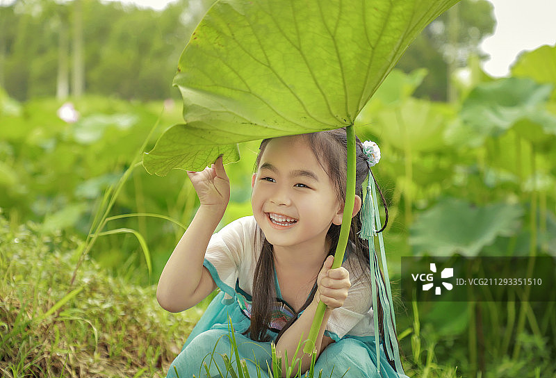荷塘听雨图片素材