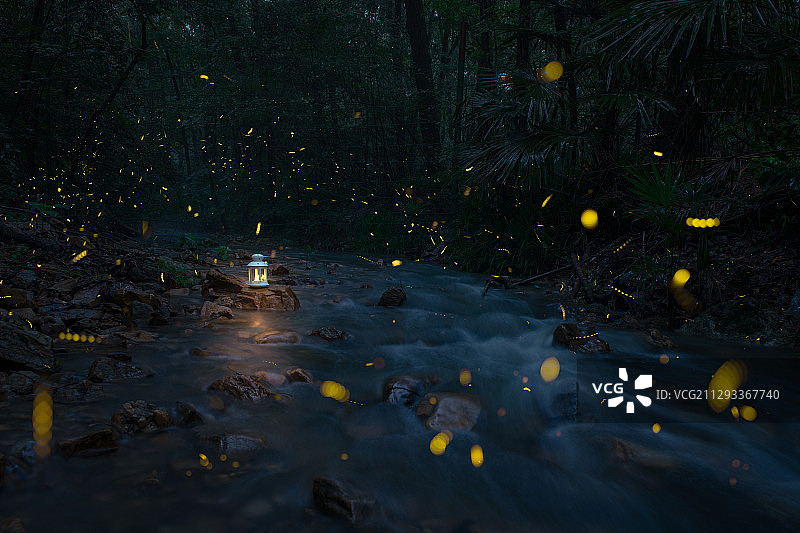 江苏省南京市钟山风景区溪流夏日萤火虫图片素材