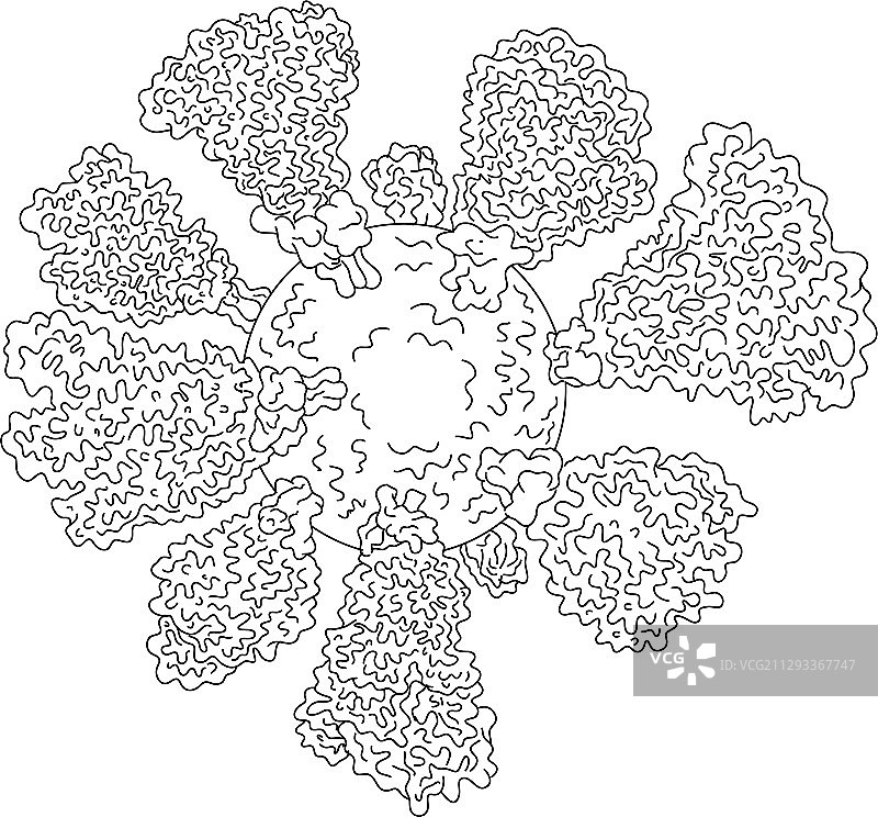 冠状病毒细胞微观线条画图片素材