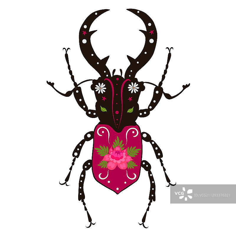 白色背景上的装饰昆虫图片素材