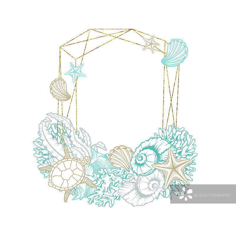 海螺和海洋藻类包装标签图片素材