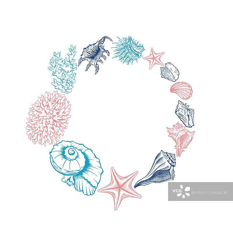 圆形海洋贝壳花环图片素材
