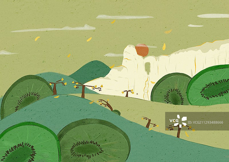 猕猴桃包装插画图片素材