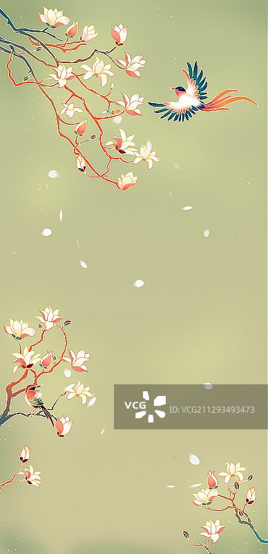 中国风玉兰花喜鹊插画图片素材