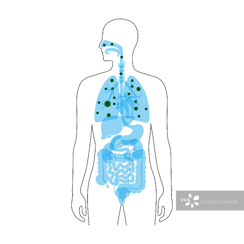 感染病毒的人的肺部图片素材