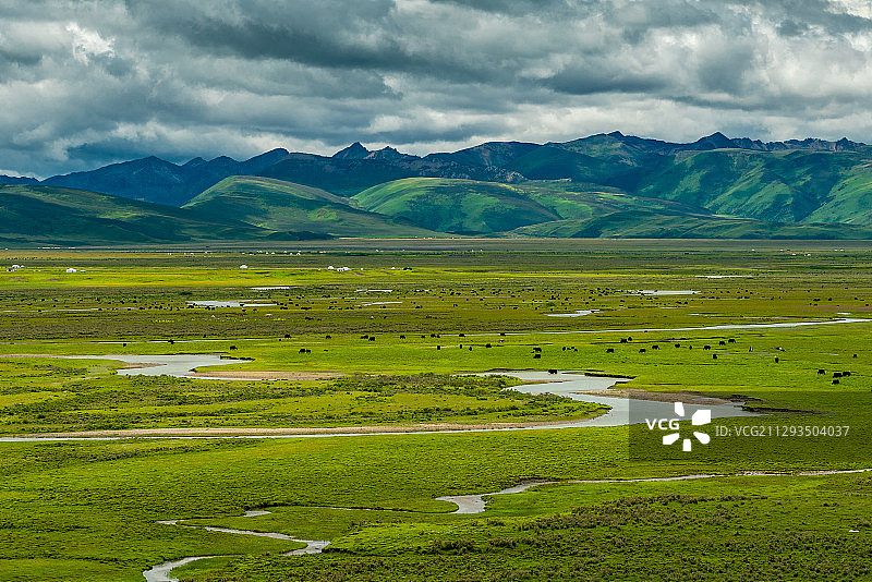 夏季的理塘大草原，也称毛娅坪草原，号称中国最美六大草原之一。图片素材