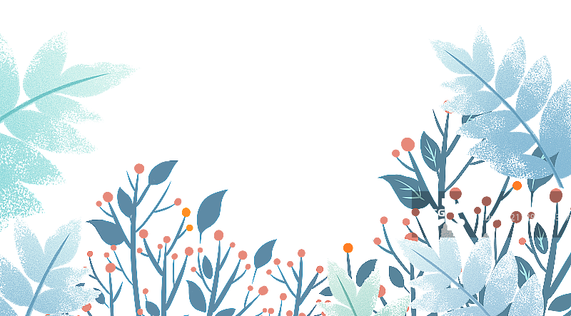 被霜雪覆盖的植物图片素材