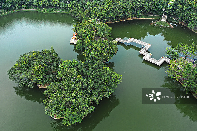 湖中浓荫蔽+广东省东莞市人民公园图片素材