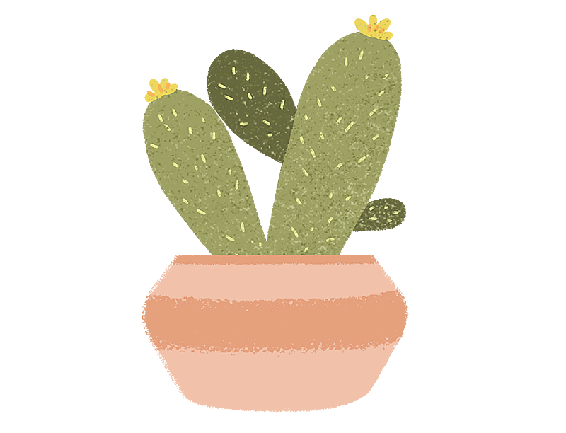 绿色仙人掌盆栽图片素材