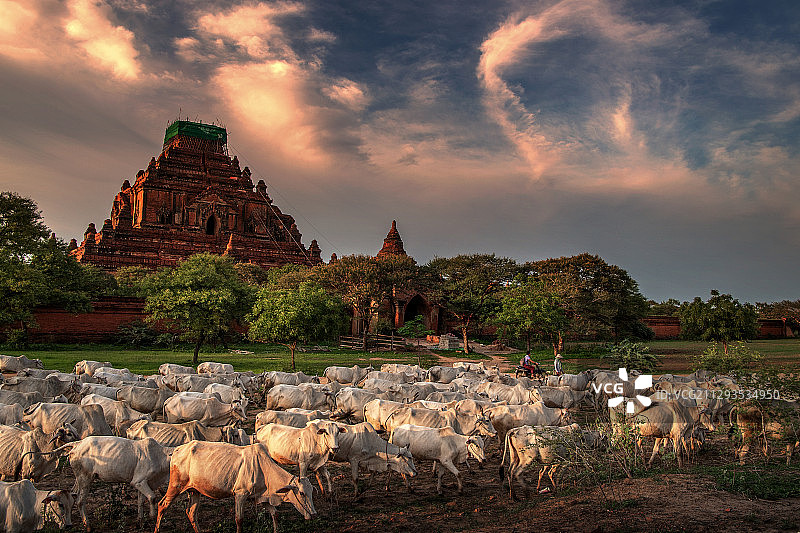 缅甸浦甘图片素材