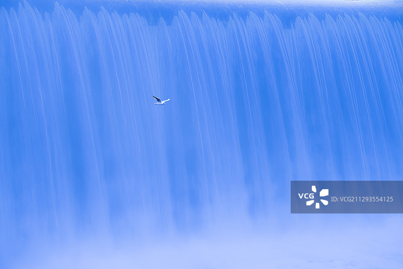 瀑布飞鸥图片素材