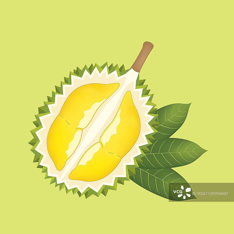 绿色背景上半个榴莲和叶子图片素材