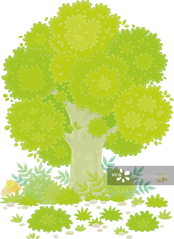 美丽森林空地上的大绿树图片素材