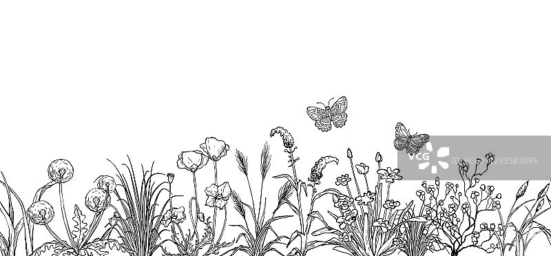 黑白写生田野花草图片素材