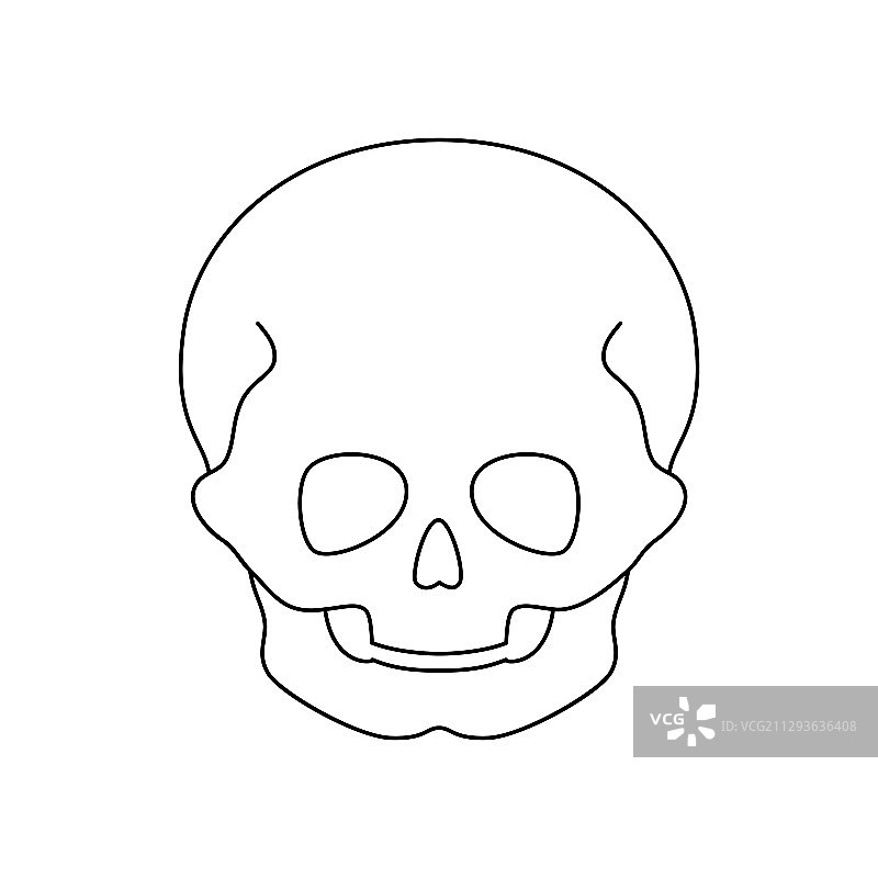 儿童头骨图片素材