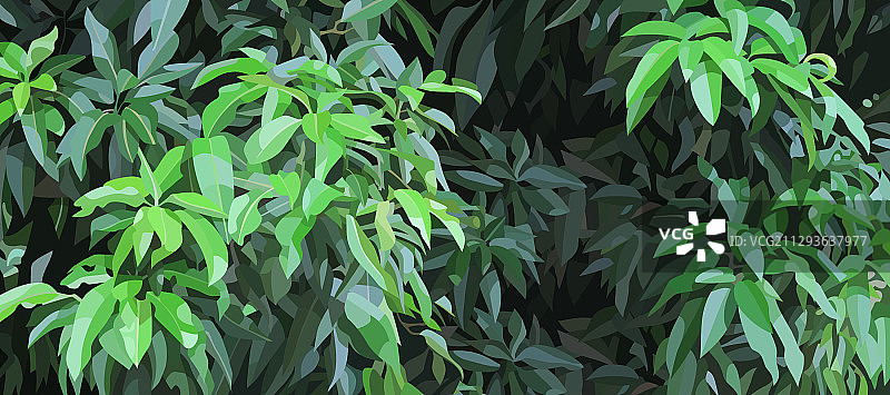 茂密绿色灌木丛背景图片素材