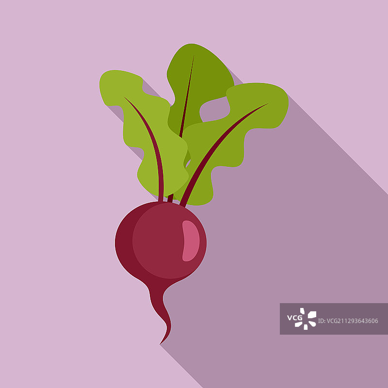 有机甜菜扁平风格图标图片素材