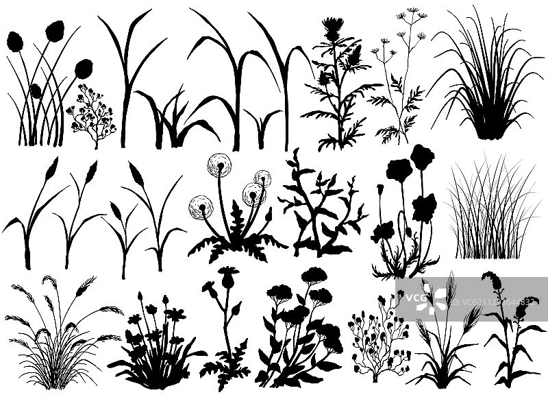 蝴蝶花草地剪影图片素材