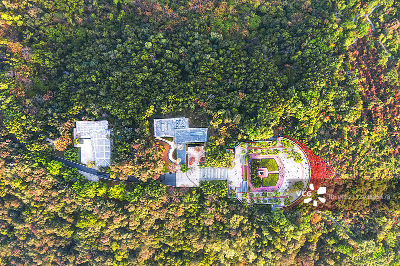 广东省深圳市福田区莲花山公园航拍风光图片素材