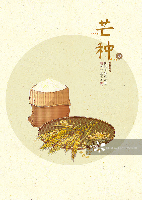 中国风24节气芒种图片素材