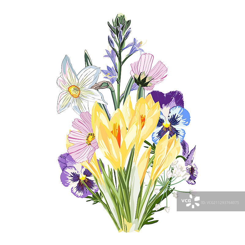 带花园香草的黄色番红花花束图片素材