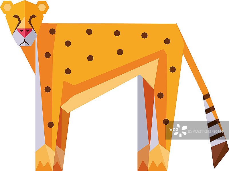 白色背景上的猎豹几何野生动物图案图片素材