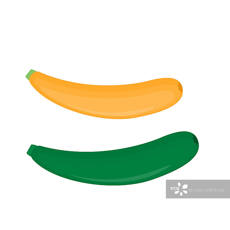 白色背景下的西葫芦图片素材