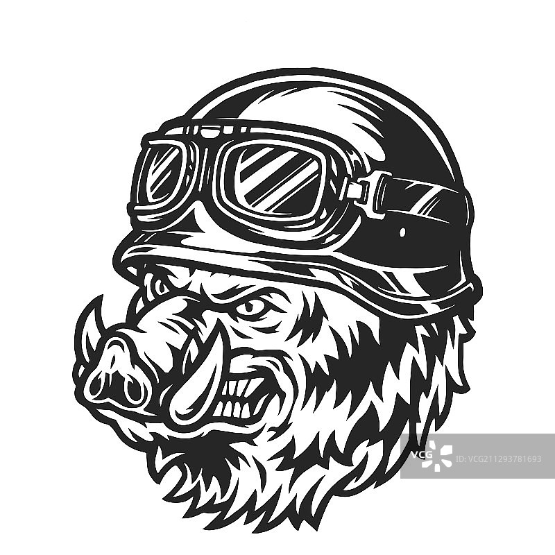 凶猛的野猪头骑行者图片素材