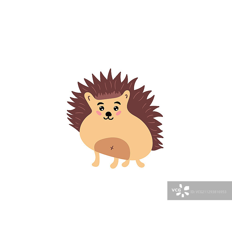 可爱的多刺猬图片素材