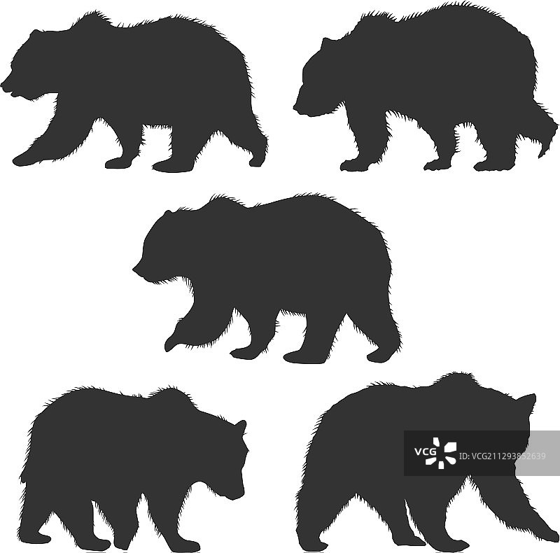 野生灰熊剪影组合图片素材