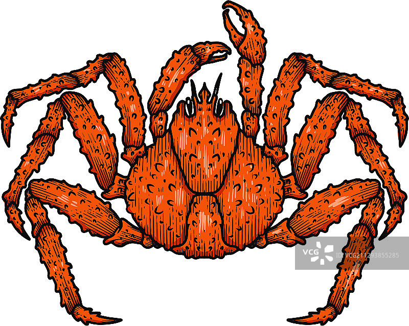 日本蜘蛛蟹logo设计元素图片素材