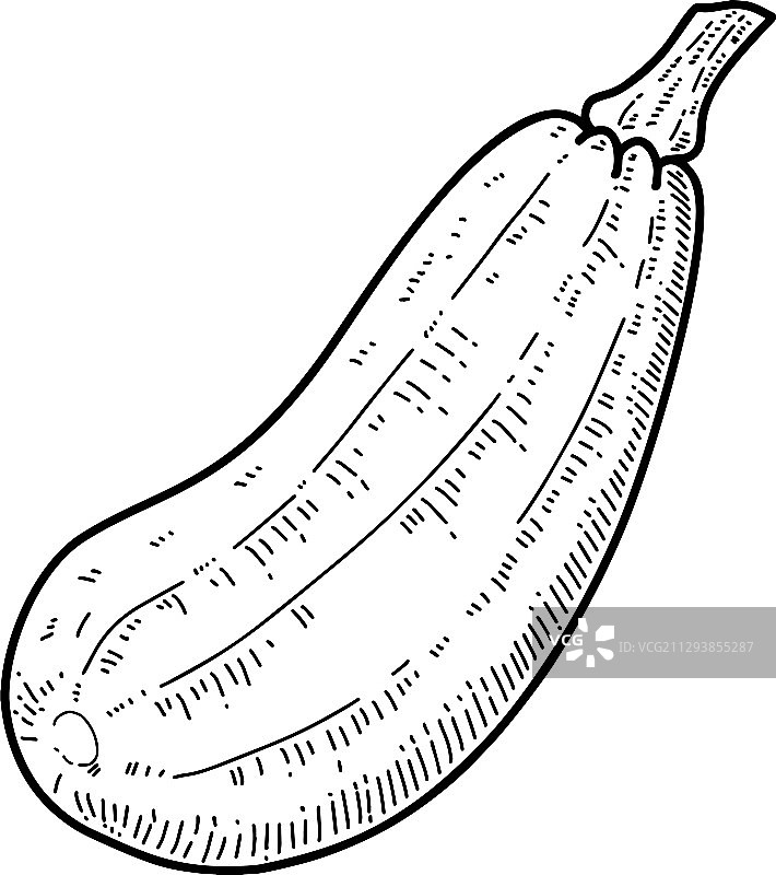 雕刻风格蔬菜图片素材