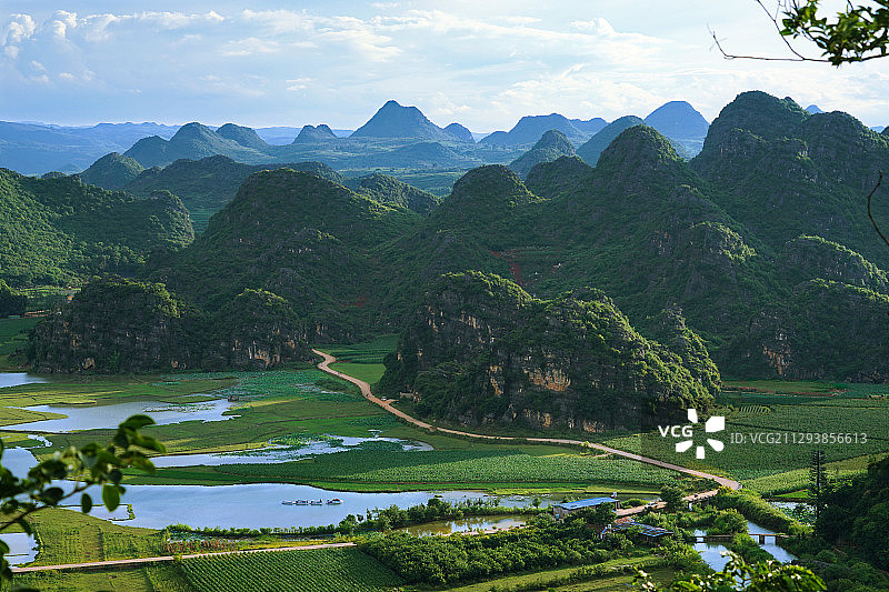 普者黑夏日风光图片素材
