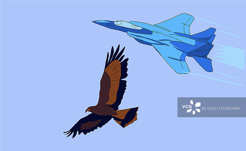 素描飞翔的飞机与老鹰图片素材