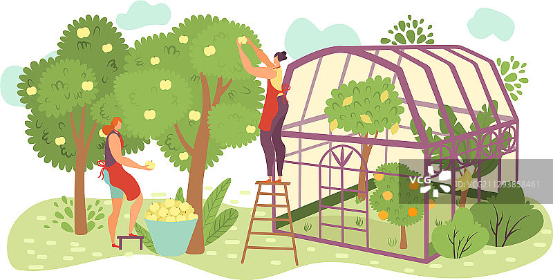 在有机农场花园里的人们图片素材