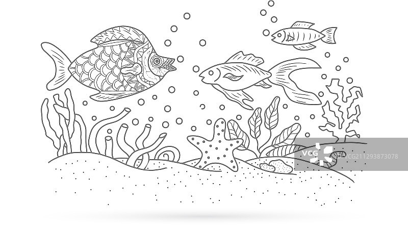 鱼海藻水下草轮廓图片素材