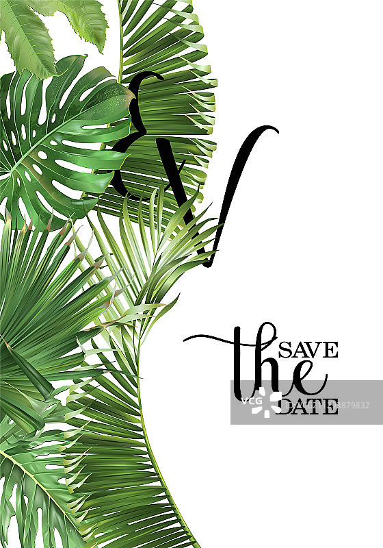 带有绿色热带树叶的婚礼卡片图片素材