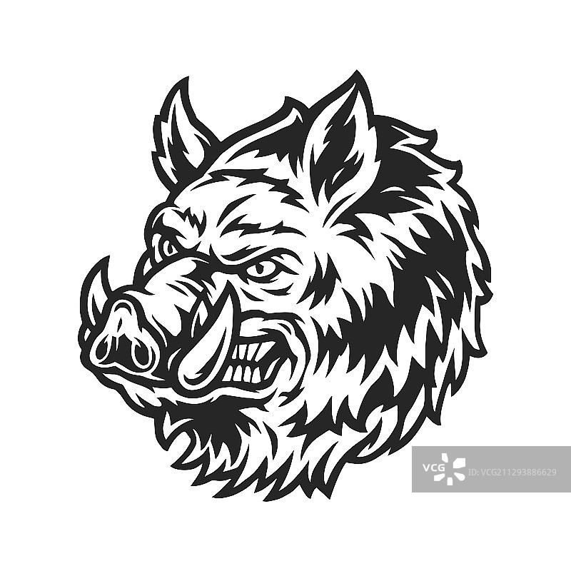 复古风格的狂野野猪头图片素材