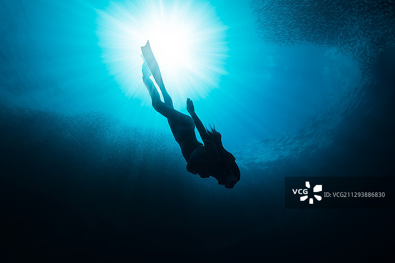 freedive图片素材