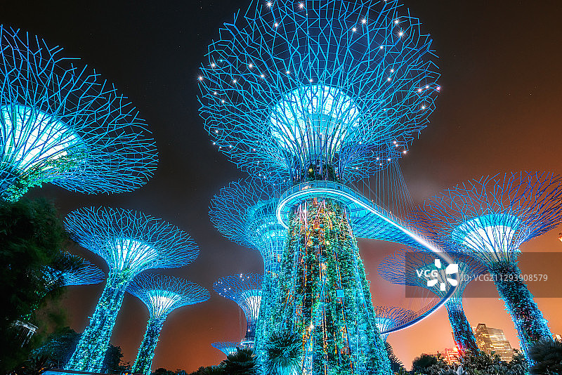 新加坡滨海湾花园超级树夜景图片素材