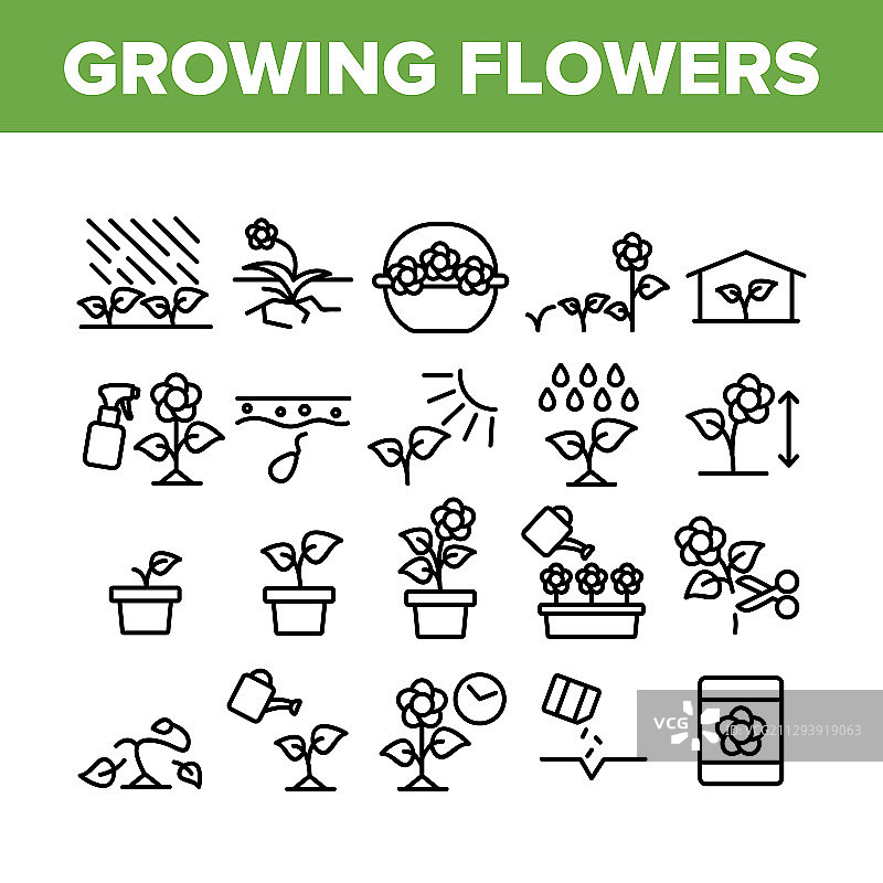 鲜花植物生长图标合集图片素材